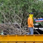 depositphotos_165649204-stock-video-workers-loading-branches-into-trucks